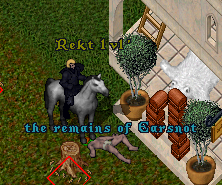 4.PNG