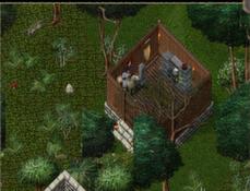 dracula_01.jpg