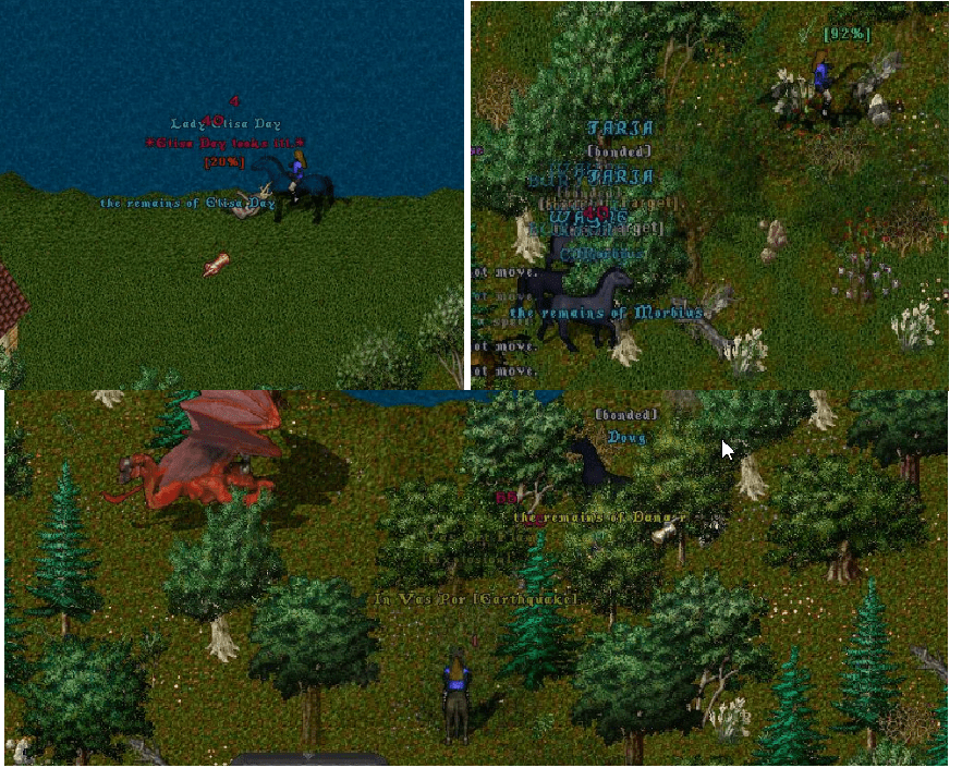 pic1-min.png