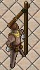 pickpocketsouth.jpg