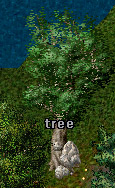 tree.jpg