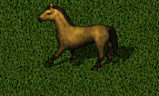 unknown.png