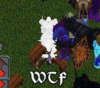 WTF.jpg