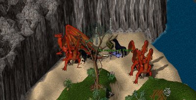 Basoosh_8-29_23.jpg