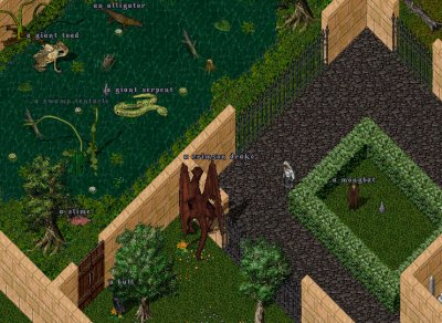 WildTamers_06.jpg