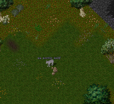 ArcticWolf.png