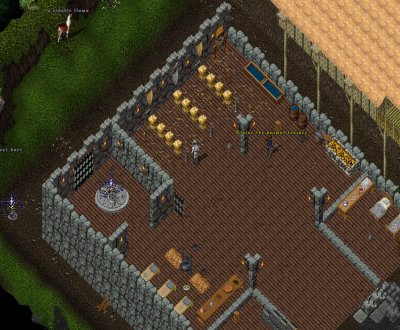 WildTamers_12.jpg