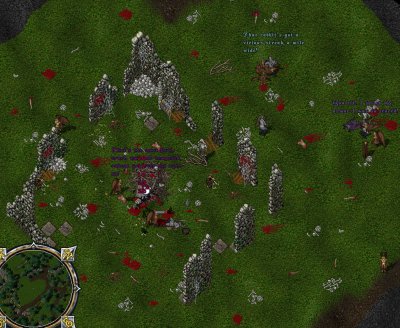 WildTamers_17.jpg