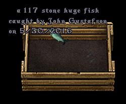 117.jpg