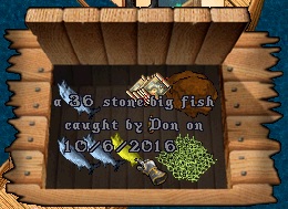 36 stones.jpg
