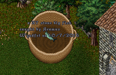 37.png