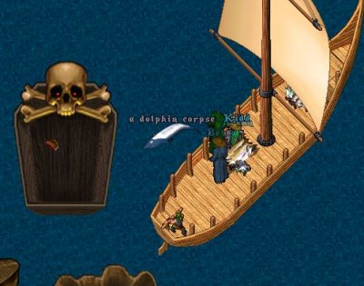 dolphindead.jpg