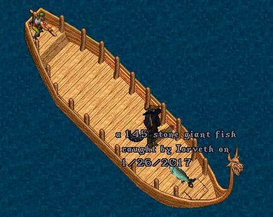 c.jpg