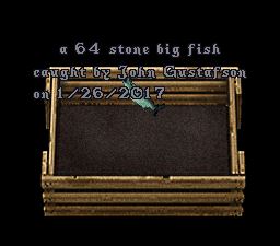 64.JPG
