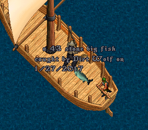 43stones.png