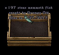 197.JPG