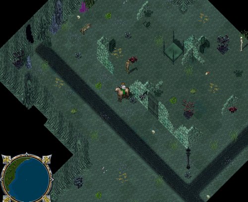 Ocllo_06.jpg
