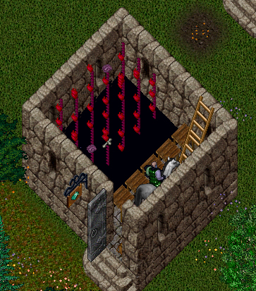 organs2.jpg
