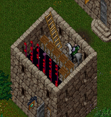 organs3.jpg