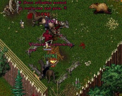fort 02.jpg