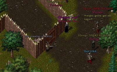 camp 01.jpg