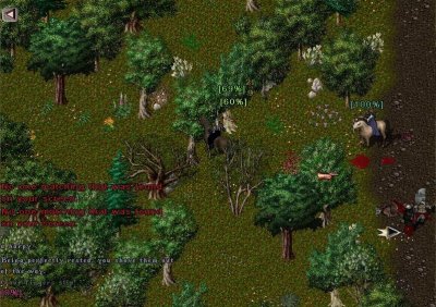 camp 02.jpg