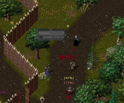 camp 04.jpg