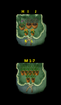 Plants.png
