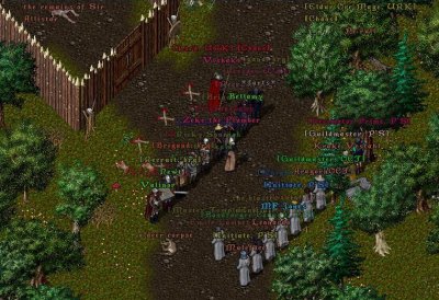 siege 13.jpg