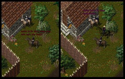 Dreg_7-19_11.18.jpg