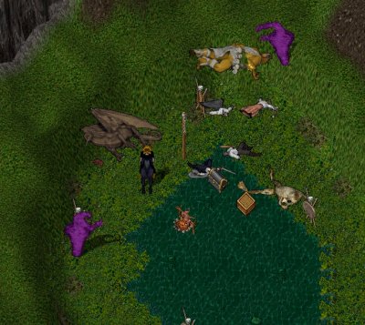campsavior.jpg
