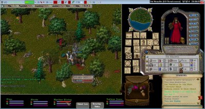 Oni Neaufire_9-19_20.00.jpg