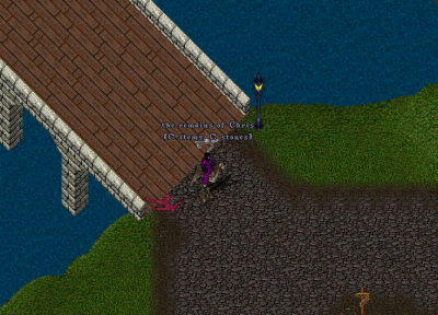 2018-01-09 04_34_16-Ultima Online - Lana Del Rey (UO Renaissance).png