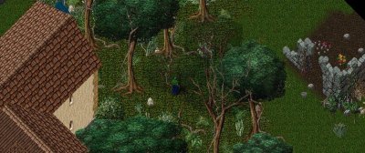 Settler Bryan_3-4_20.52.jpg