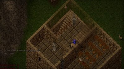 duke3.jpg