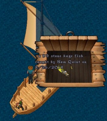 89 Stone Fish.jpg