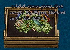 FISH.jpg
