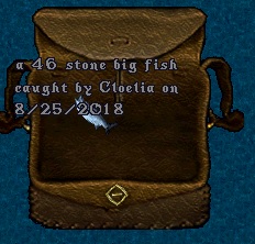 fish7.jpg