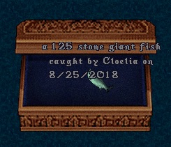 fish8.jpg