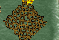 6.PNG