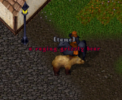 Screenshot_1.png