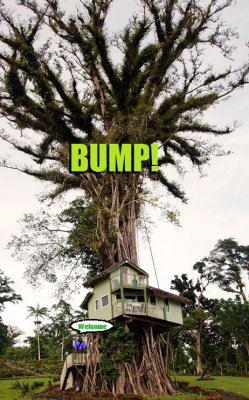 bump.JPG
