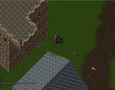 AIRREKT.jpg