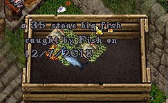 fish.jpg