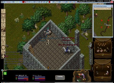 t dawg_11-22_17.11.jpg