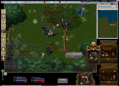 t dawg_11-22_17.36.jpg