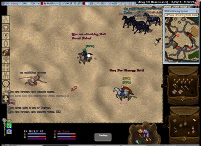 t dawg_11-22_21.52.jpg