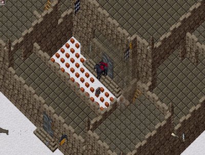 Ice Fort.JPG