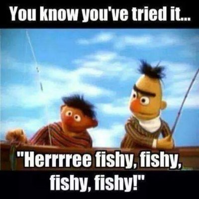 fishy.jpg