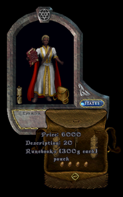emptyrunebookvendor.PNG